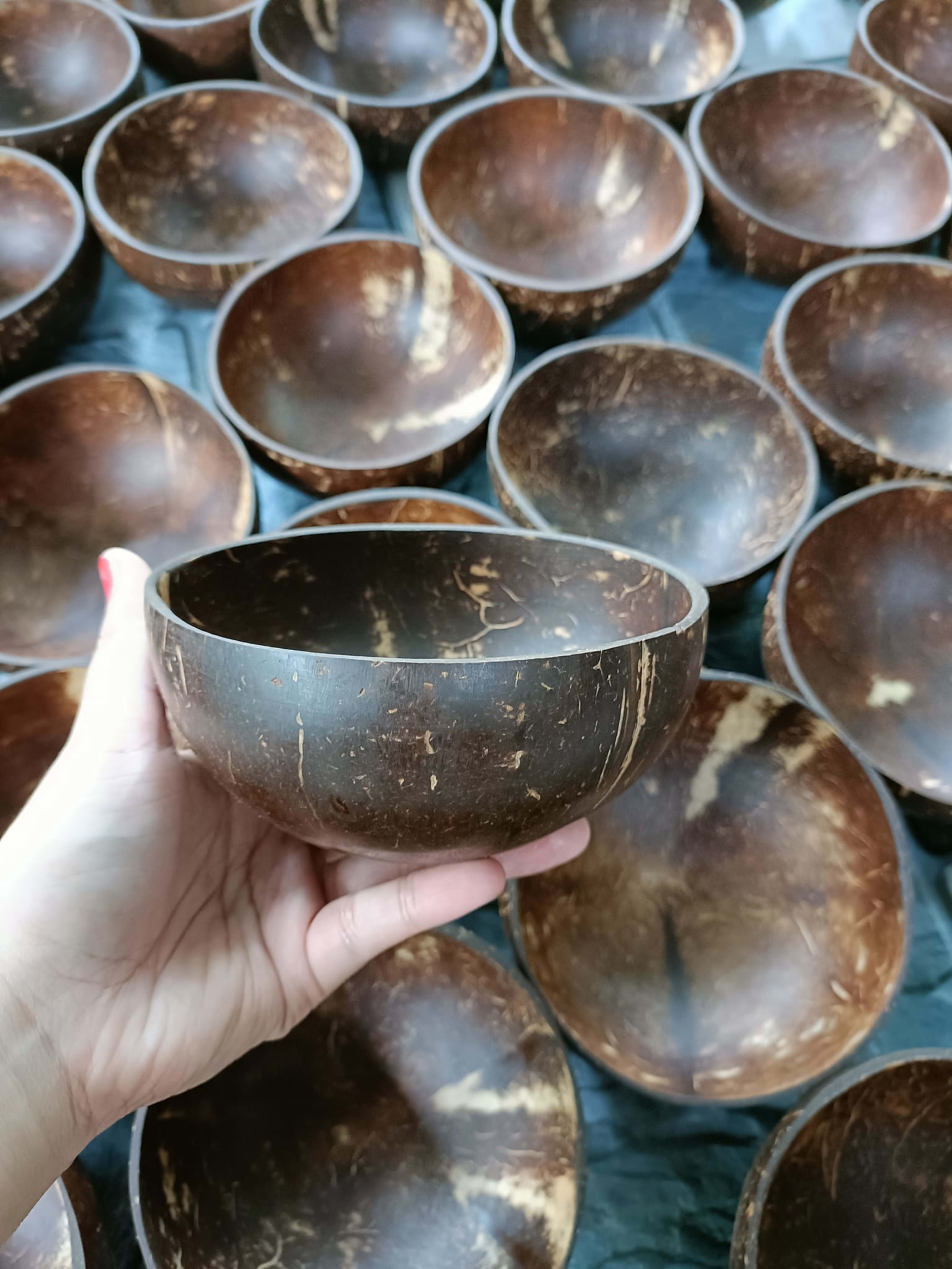 coco shell bowl 23