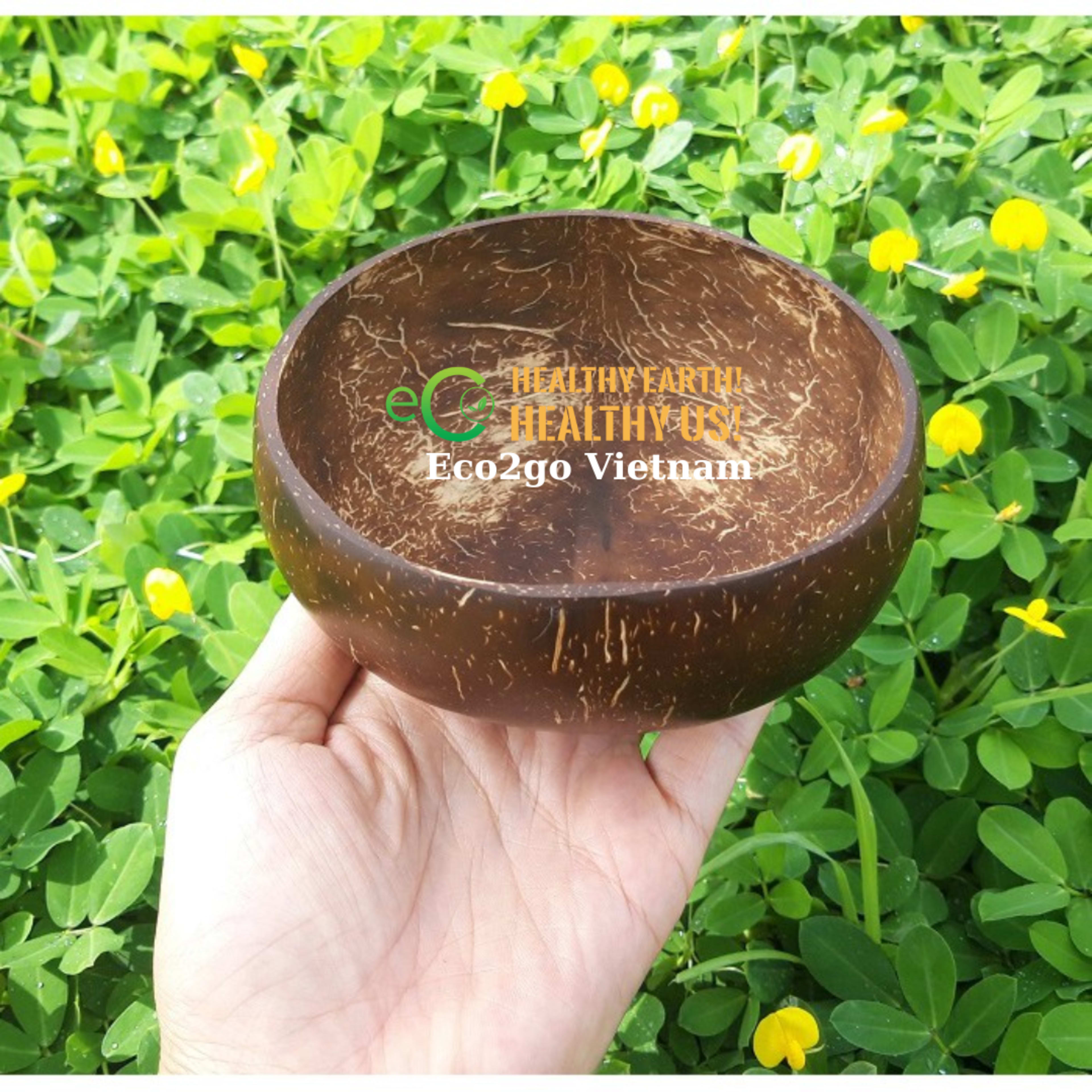 Coconut Shell Bowls 4