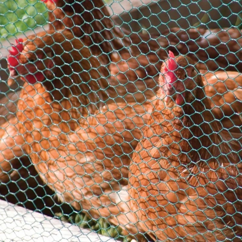 Poultry Farm Wire Mesh