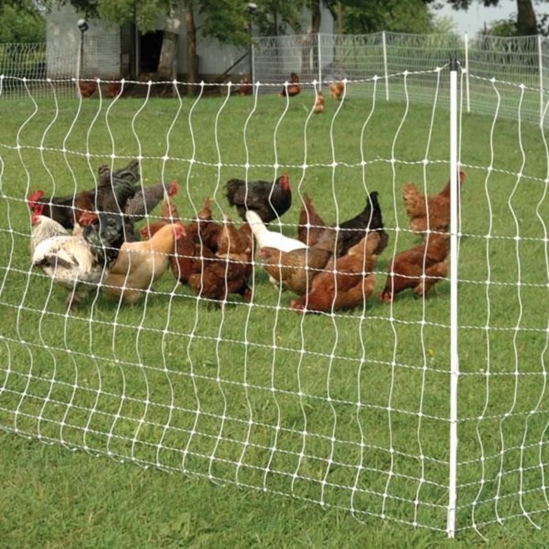 Poultry Farm Safety Net