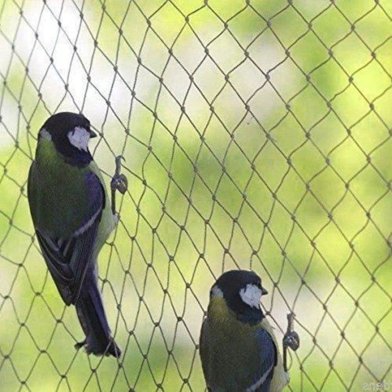 Anti Bird Safety Nylon Net