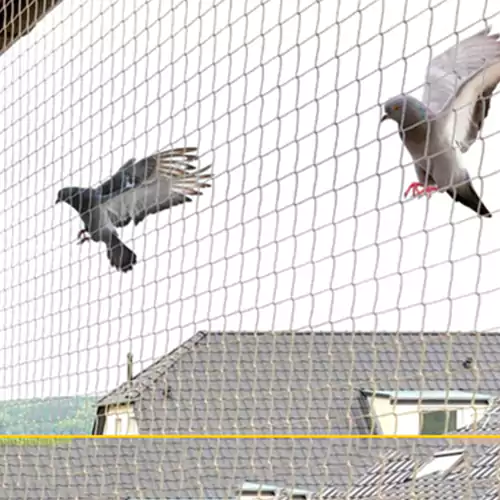 Bird Safety Net