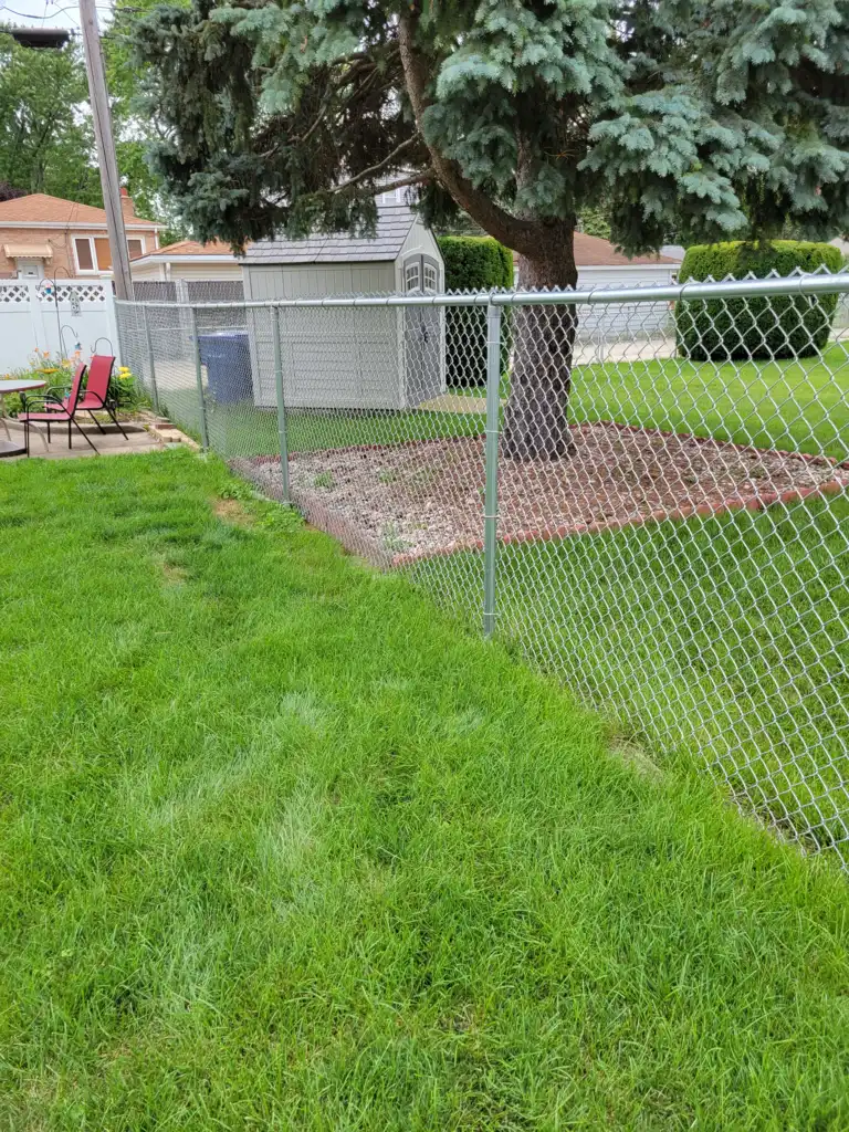 Chain Link Fence