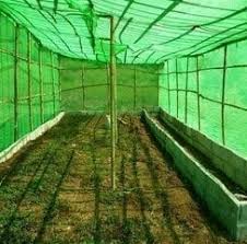 Green Shade Nets