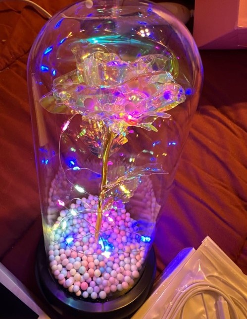 Rose in glass flower