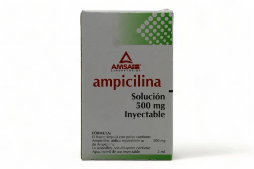AMPICILINA SOL INY 500  MG/2ML C/1 AMSA