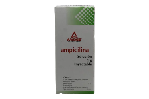 AMPICILINA SOL INY IM/IV 1 G/5 ML C/1 AMSA