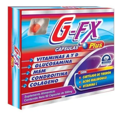 G-FX CAPS (GLUCOSAMINA/MSM/CONDROITINA/COLAGENO) CAP 500 MG C/60 NATUTECH
