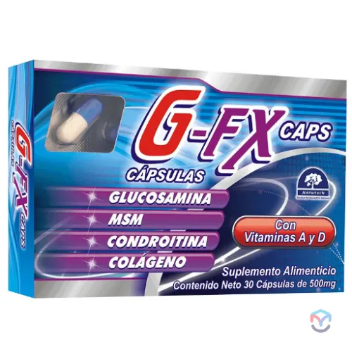 G-FX CAPS (GLUCOSAMINA/MSM/CONDROITINA/COLAGENO) CAP 500 MG C/30 NATUTECH