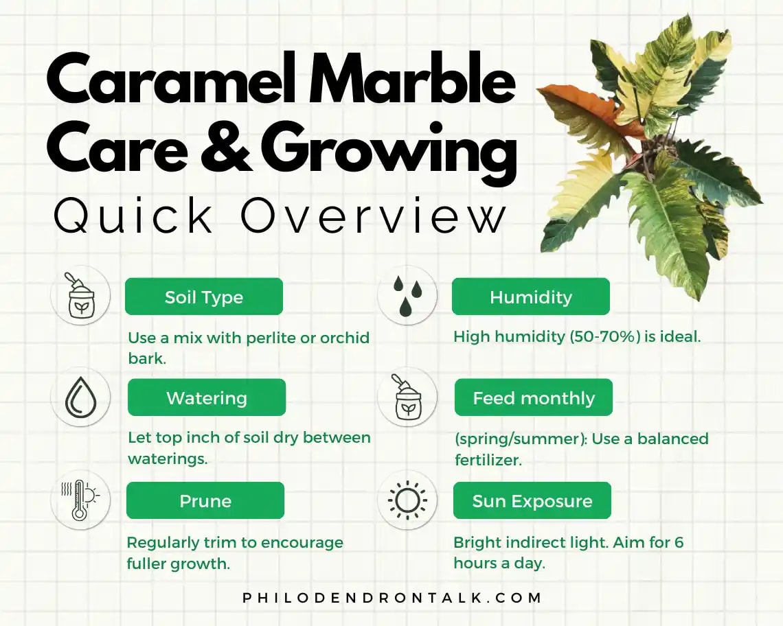 caramel marble care quick info caramel marble care and guide