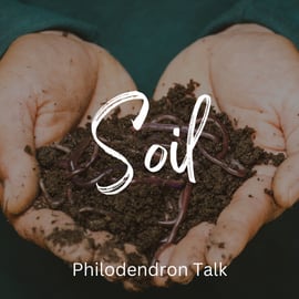 soil soil