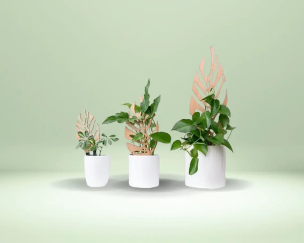 Indoor Gardens Indoor Gardens