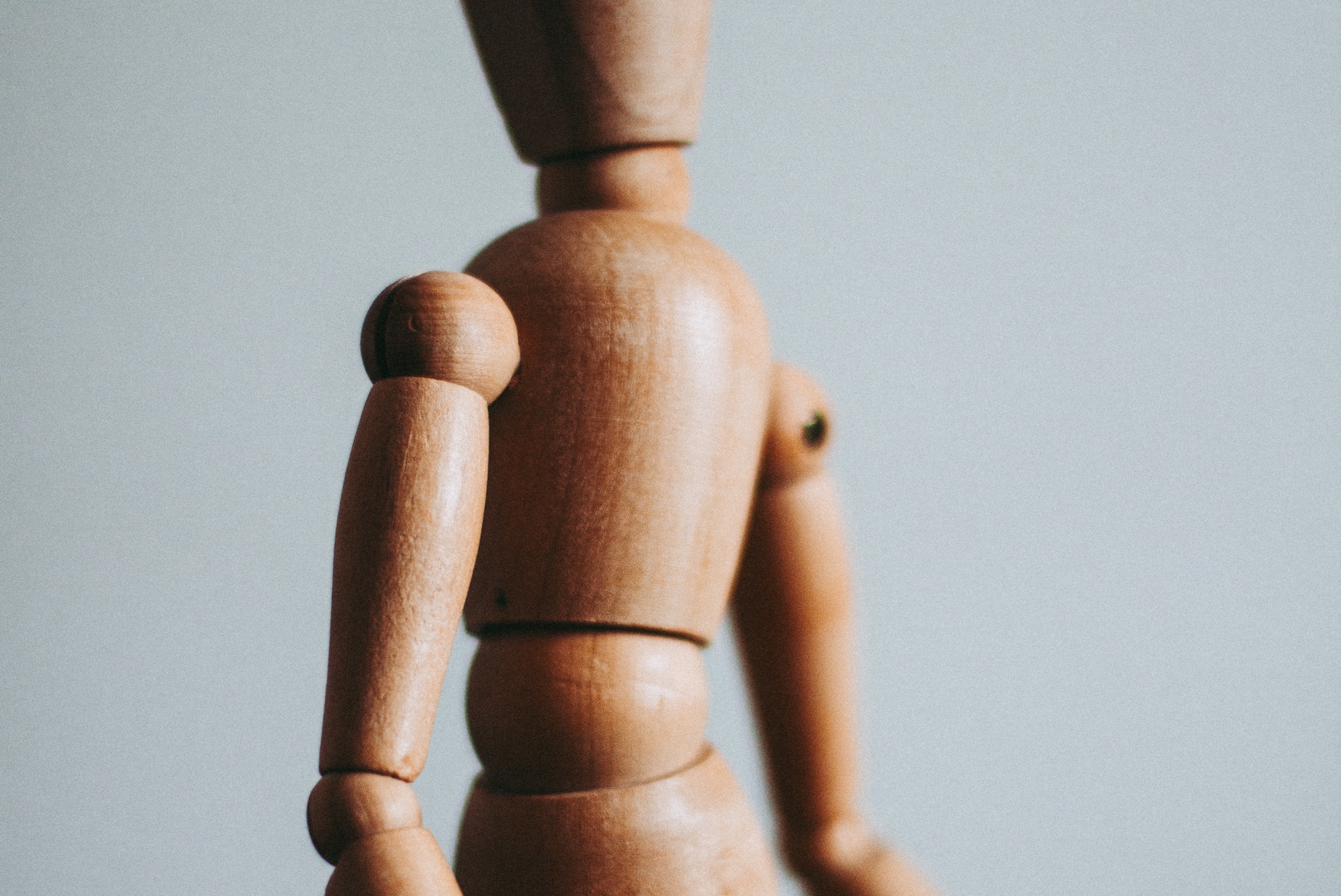 Wooden body parts model