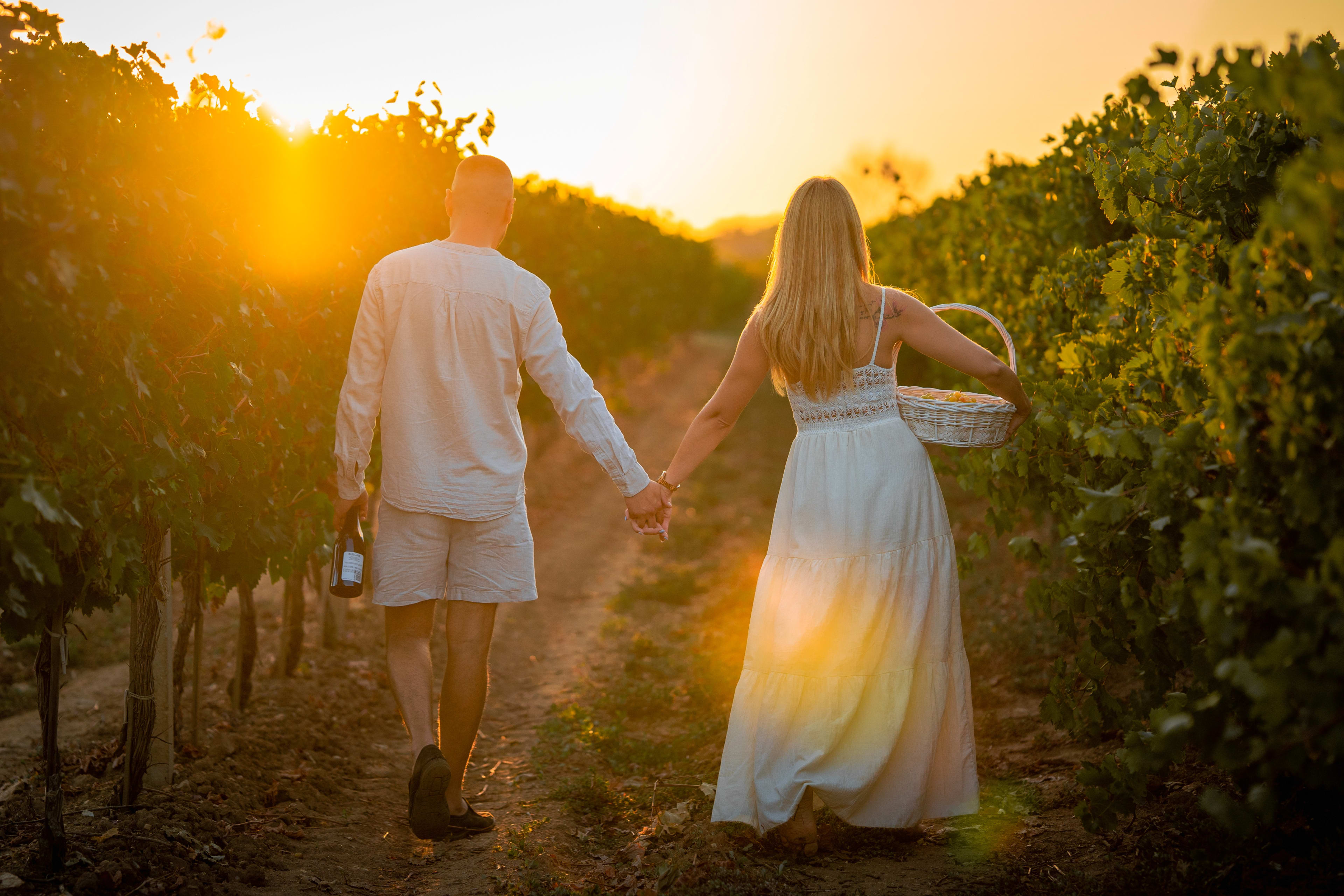Man and woman holding hands and walking together toward the sunset. They are walking among vineyards, with the sun setting in the background. The man is holding a bottle of wine, and the woman carries a basket of grapes.