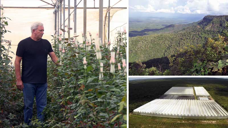 Rosas e turismo no Ceará