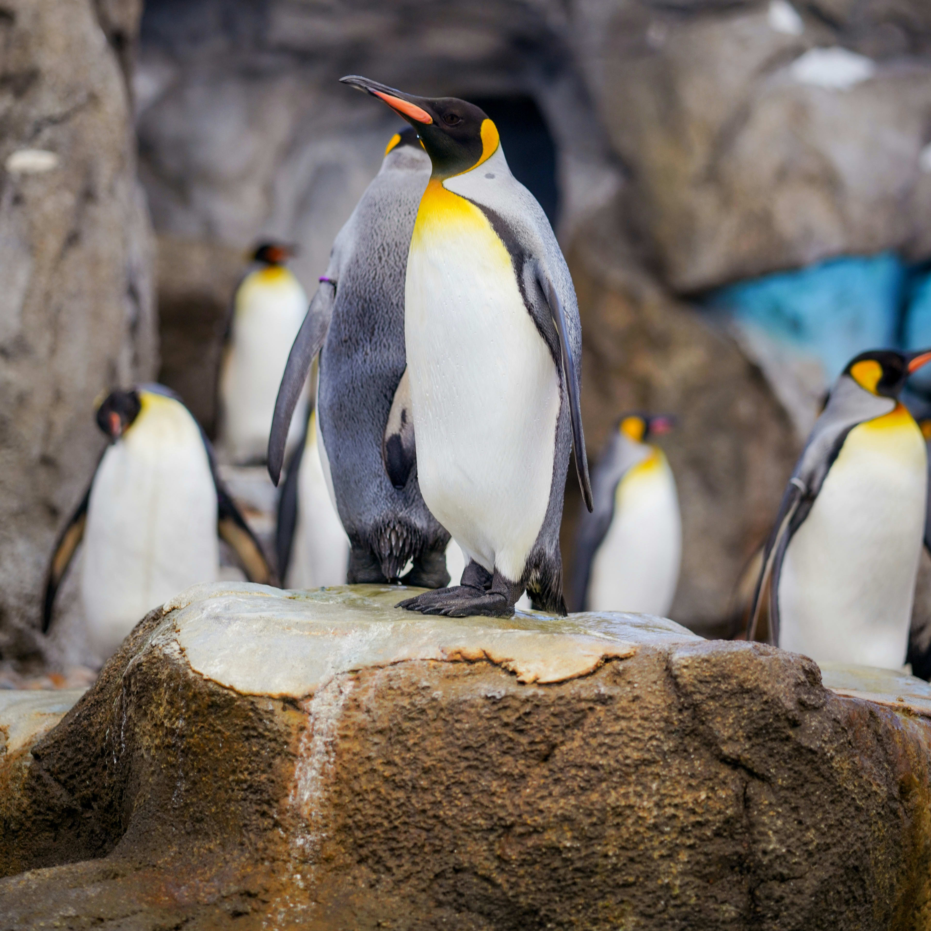 Image photocrate/ltlafiprx5qgmhvthqb9