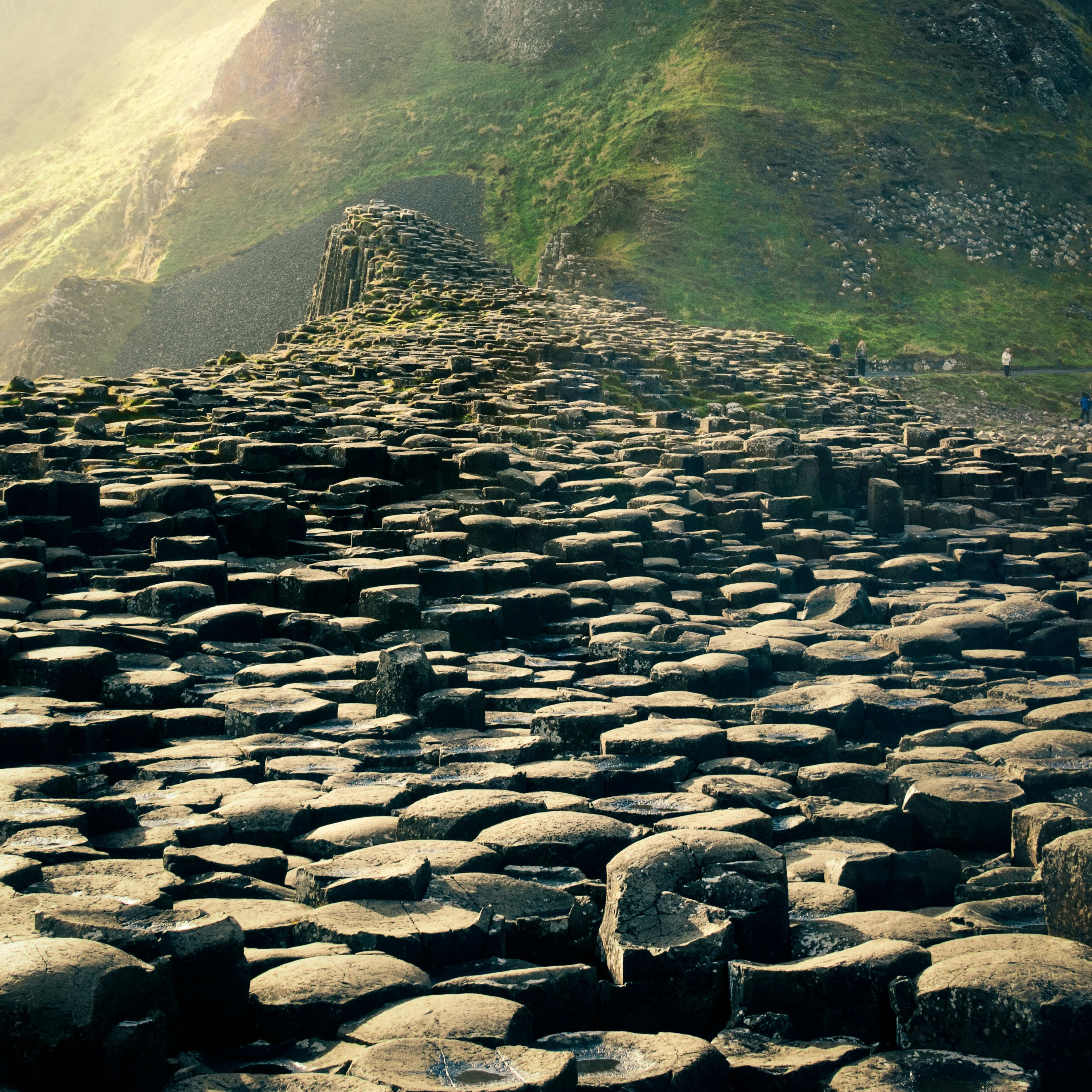 Image photocrate/suujec8abxsqhxuutjkp