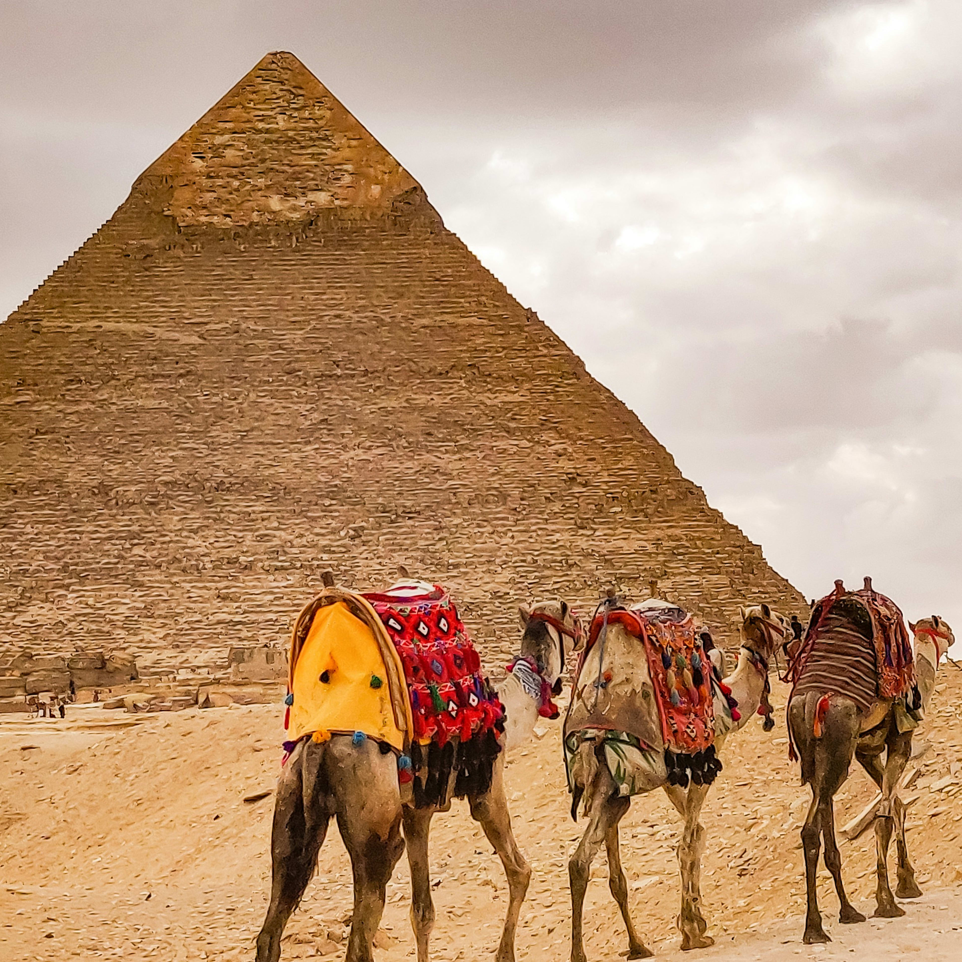 Image photocrate/xt8732gxonhv5axnrgli