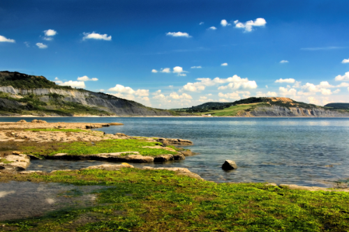 Analogue Adventures: Charmouth to Monmouth Beach Walk - Photo Walk in Charmouth, United Kingdom on Saturday 19 July 2025