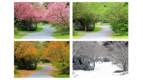 Four Seasons 2025 - Spring edition - Photo Walk in Utrecht, Netherlands on Sunday 06 April 2025