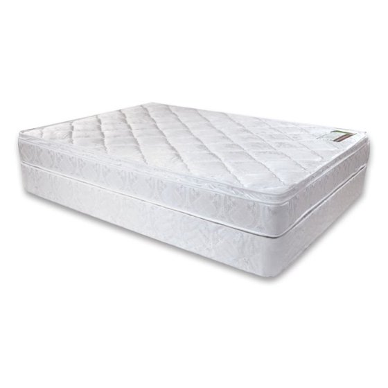 An image of Furniture of America Sherly Soft Euro Top Twin-Size 312 Bonnell Coil Innersprings 9-Inch Mattress | Know Your Mattress 