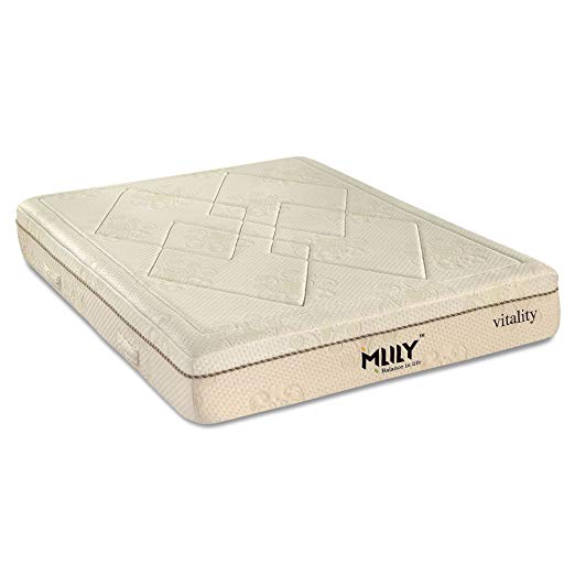 An image of Mlily Vitality Firm Memory Foam Queen-Size Bamboo Charcoal-Infused 11-Inch Mattress