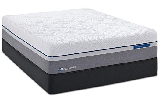 An image of Sealy Plush Hybrid King-Size 19.5-Inch Mattress | Know Your Mattress 