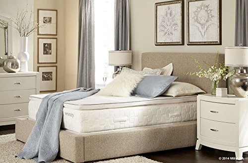 An image related to Mlily Serenity Soft Memory Foam Twin XL-Size Foam Base Bamboo Charcoal-Infused Mattress