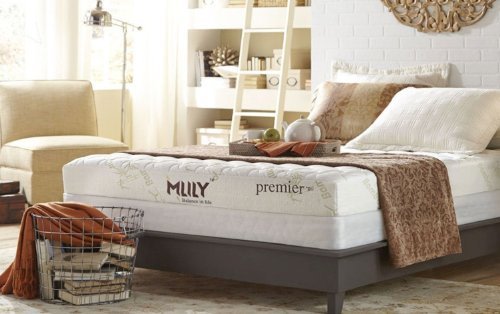 An image of Mlily Premier Memory Foam Queen-Size Foam Base Bamboo Charcoal-Infused 7-Inch Mattress