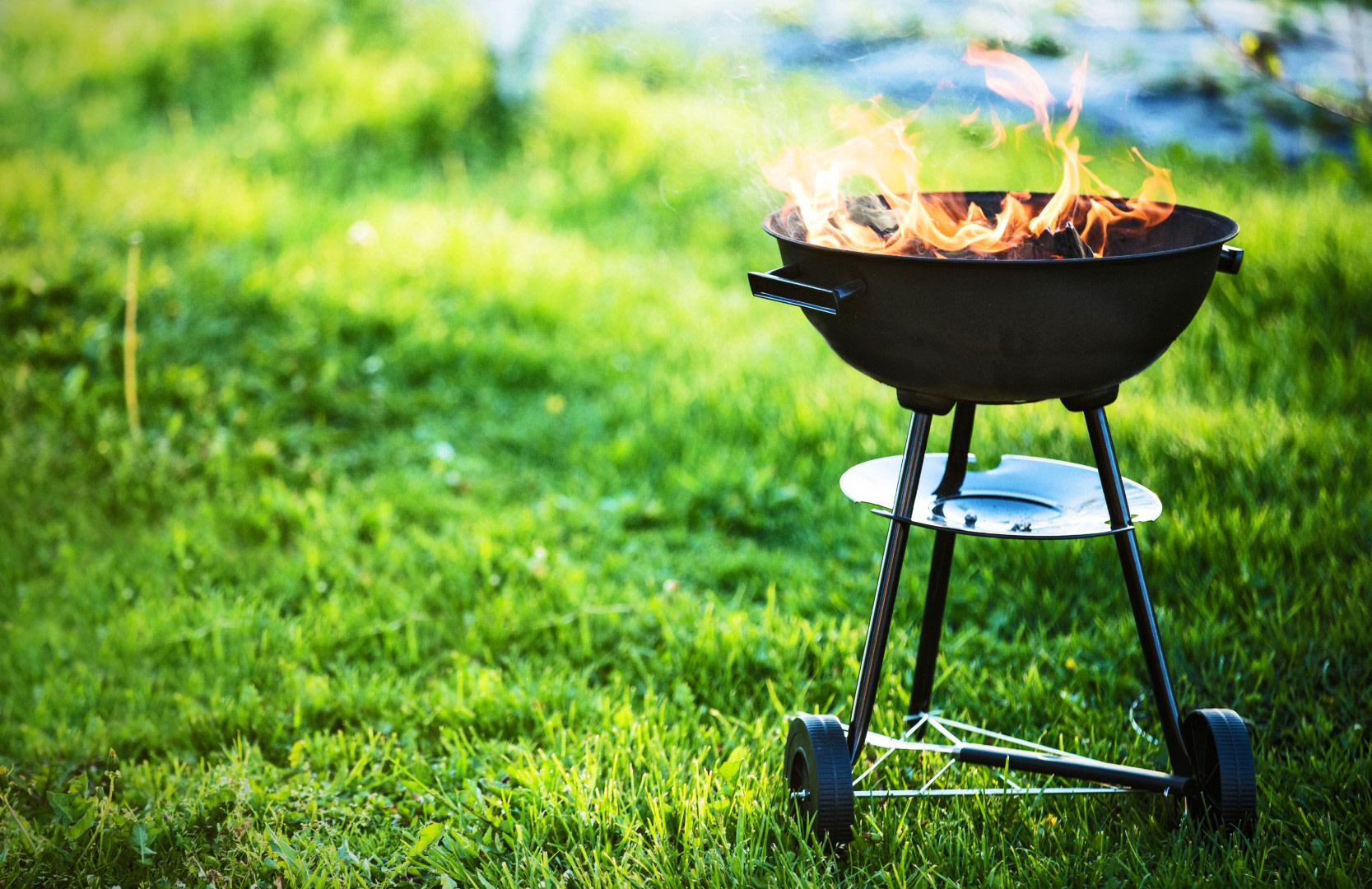 An image related to Best Portable Open Grills