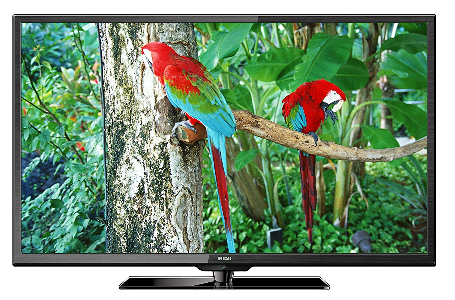 An image of RCA RLDED5078A-C 50-Inch FHD LED TV