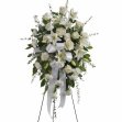 Sentiments of Serenity Spray