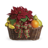 Fruit and Poinsettia Basket (Premium)