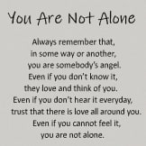 You Are Not Alone Mink Blanket