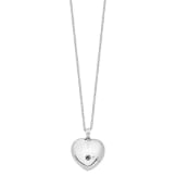 “Until We Meet Again” Heart Ash Holder Necklace