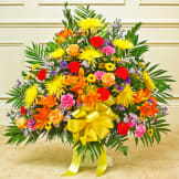 Multicolor Bright Sympathy Floor Basket