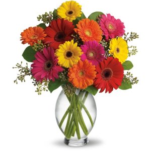 Teleflora&#39;s Gerbera Brights flower arrangement