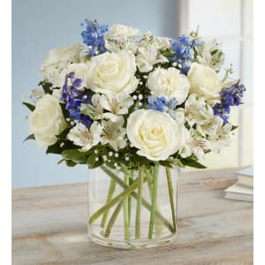 Loving Sentiments Blue & White