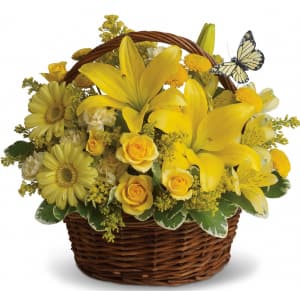Basket Full of Wishes