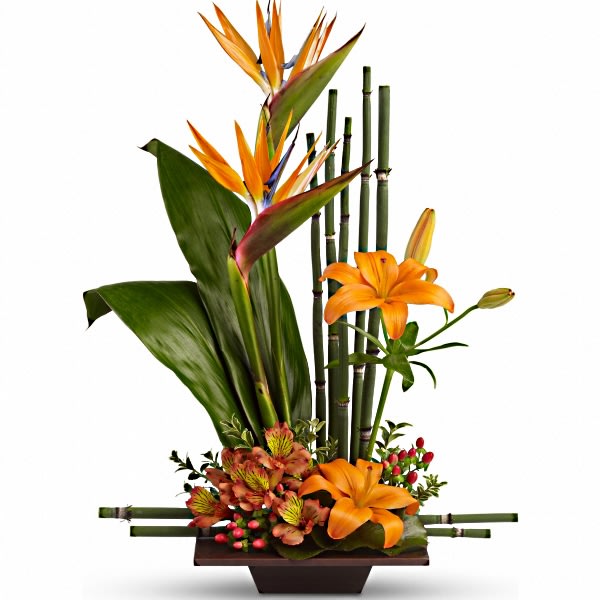 Teleflora's Exotic Grace - $50 - $75 | HelloComfort.com