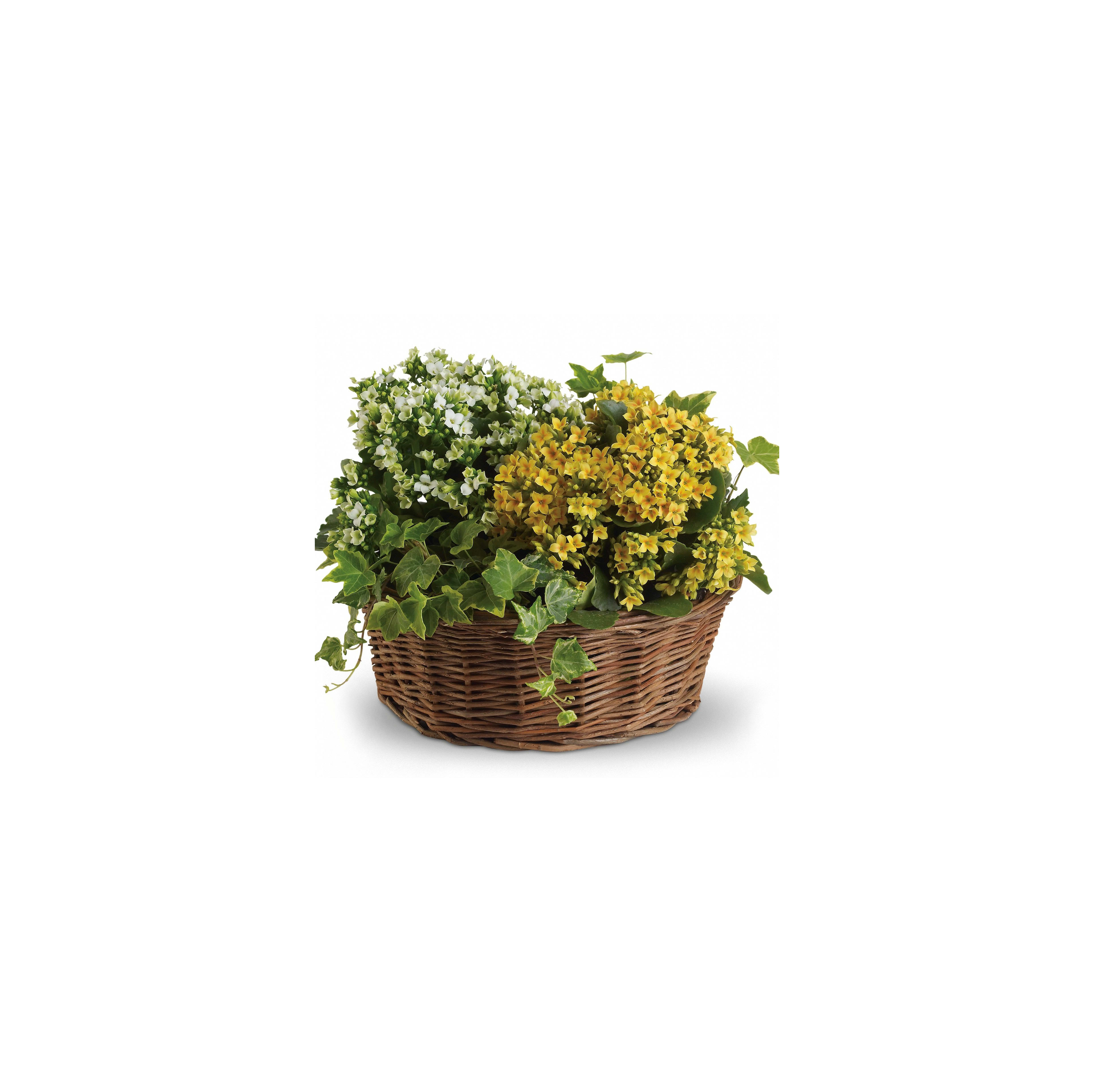 Bright yellow and white flowers in a wicker basket enhance the decor beautifully.