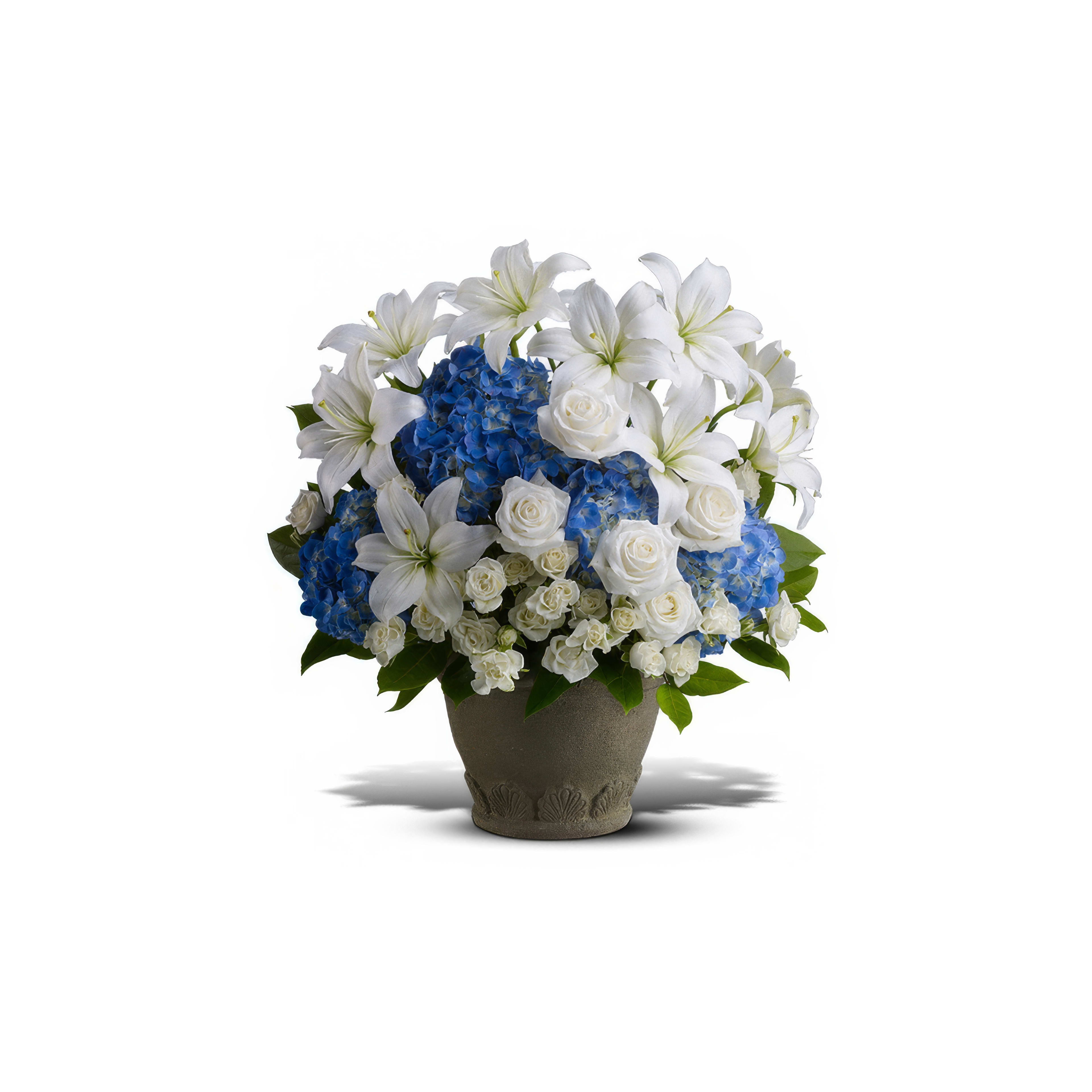 Vibrant white lilies and blue hydrangeas make a perfect bouquet for celebrations.