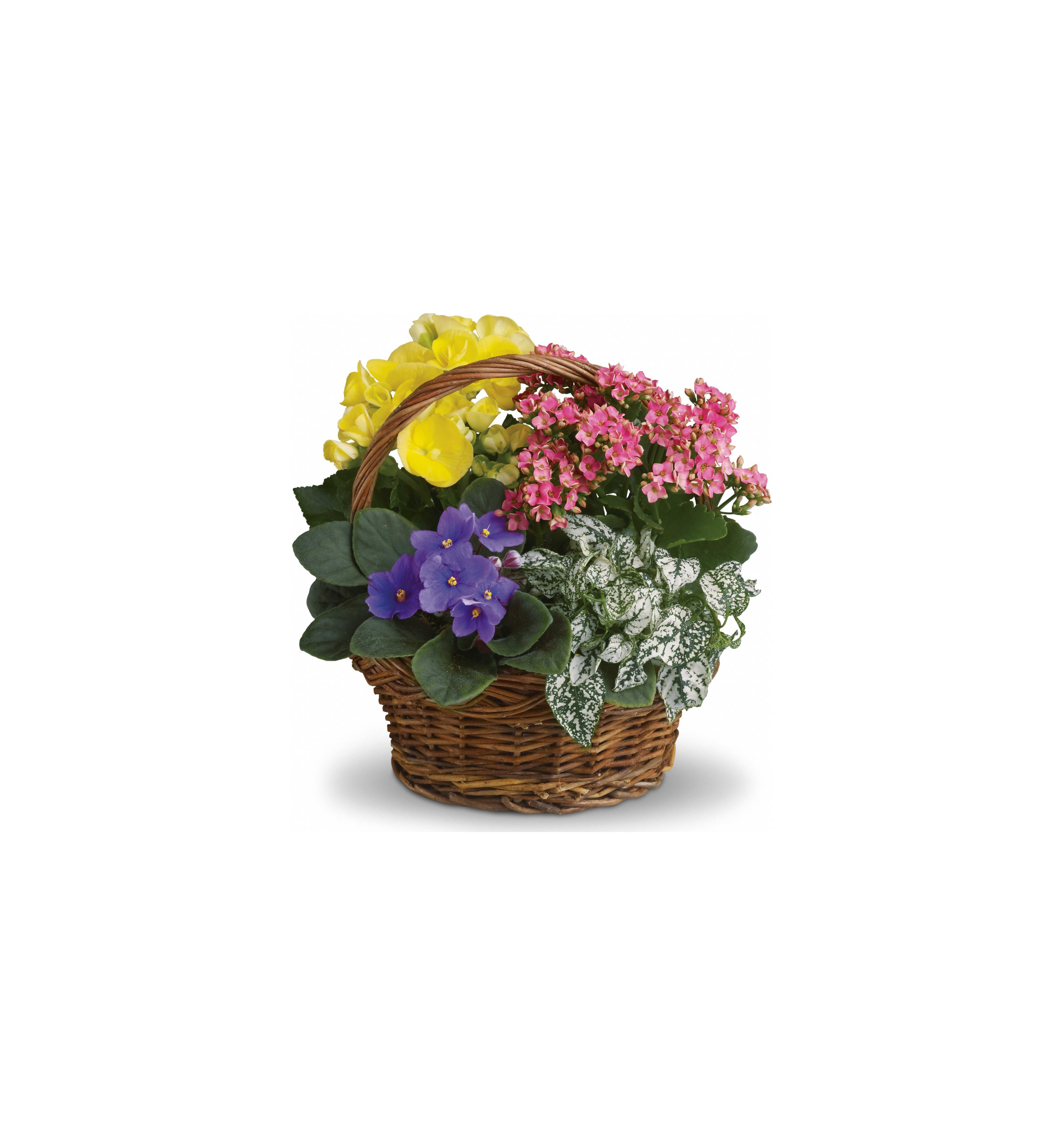A wicker basket brimming with vibrant yellow, pink, and purple spring flowers.