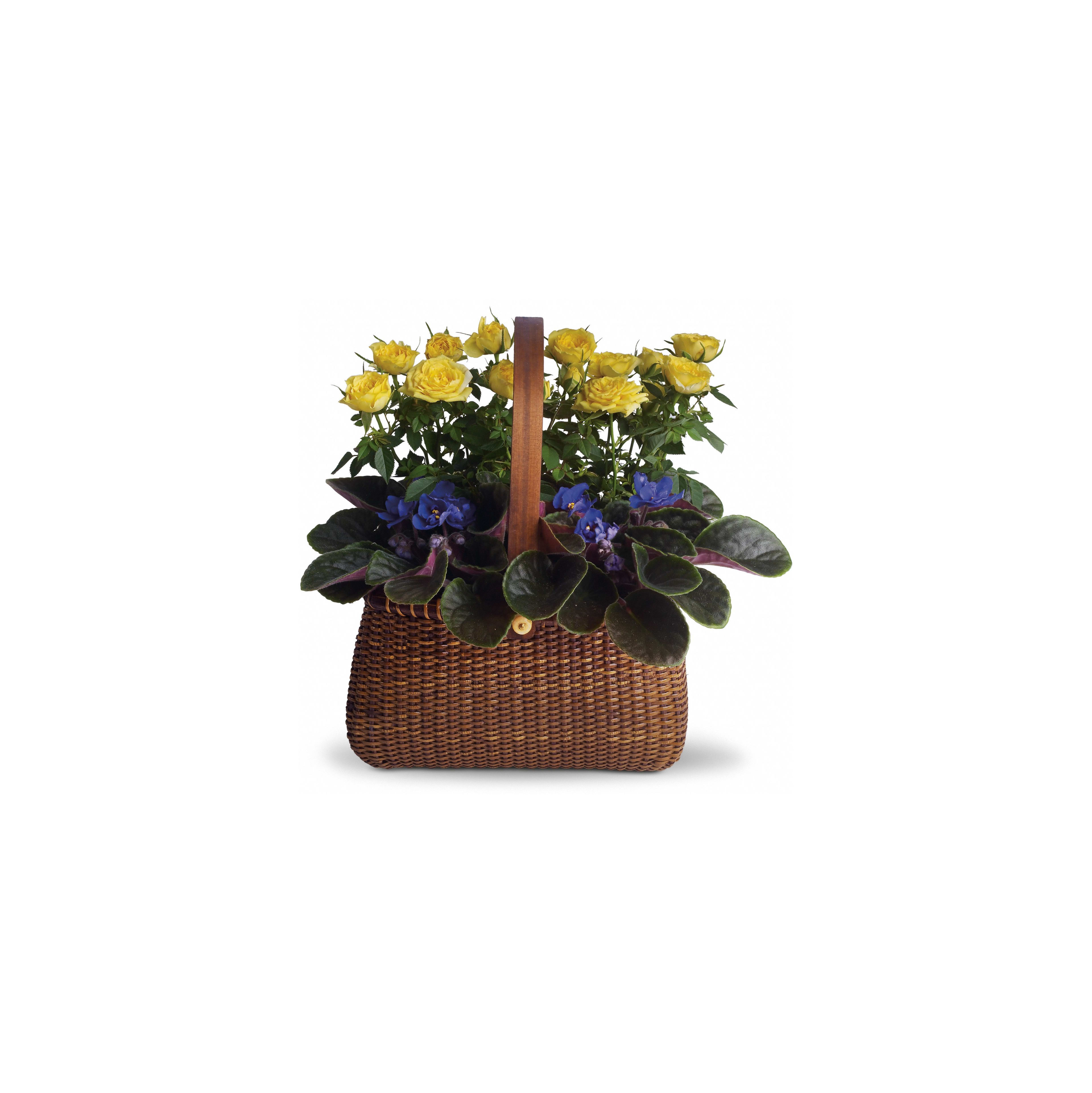 A stunning basket of yellow roses and purple violets, ideal for brightening any space.
