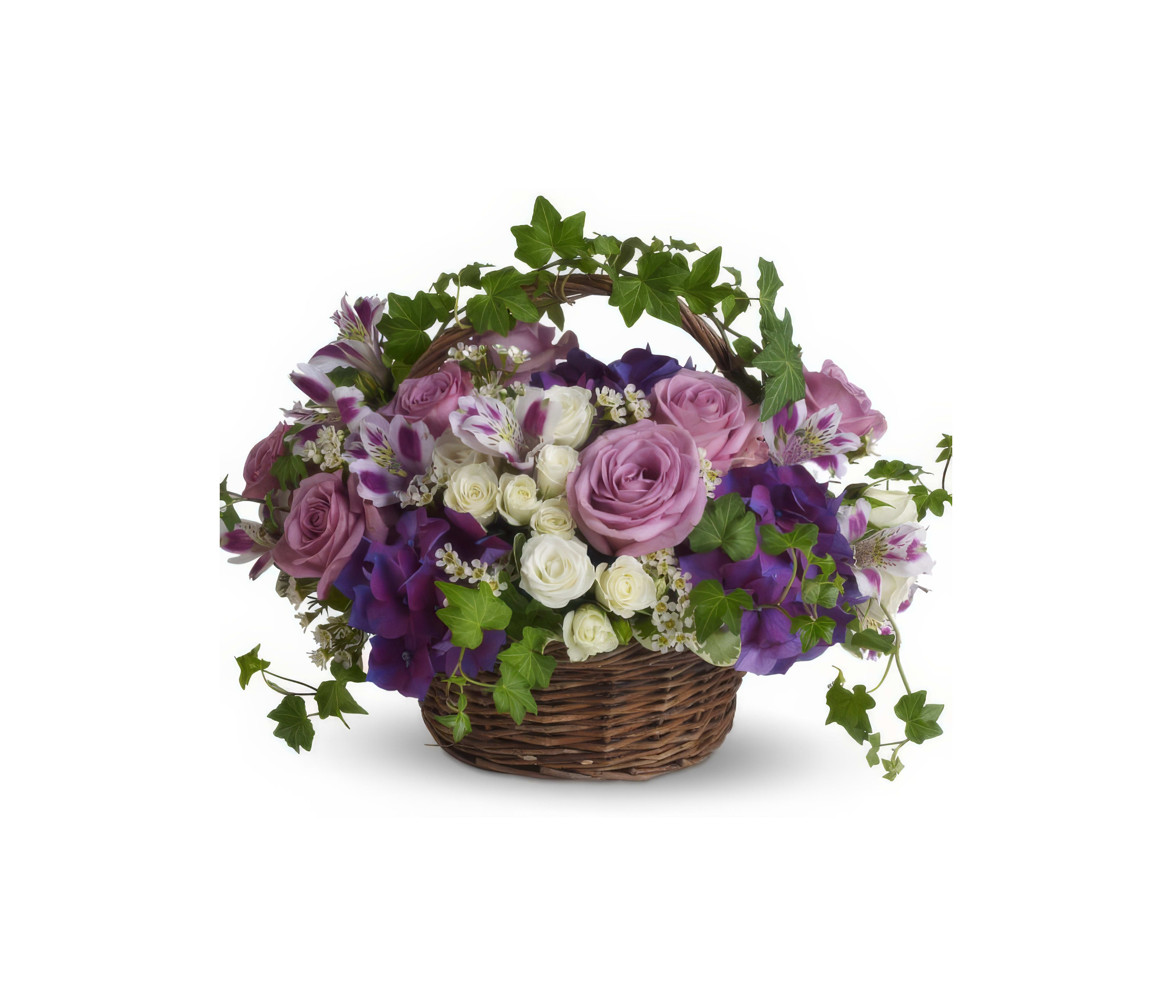 A colorful arrangement features purple and white roses among green ivy and other blooms.