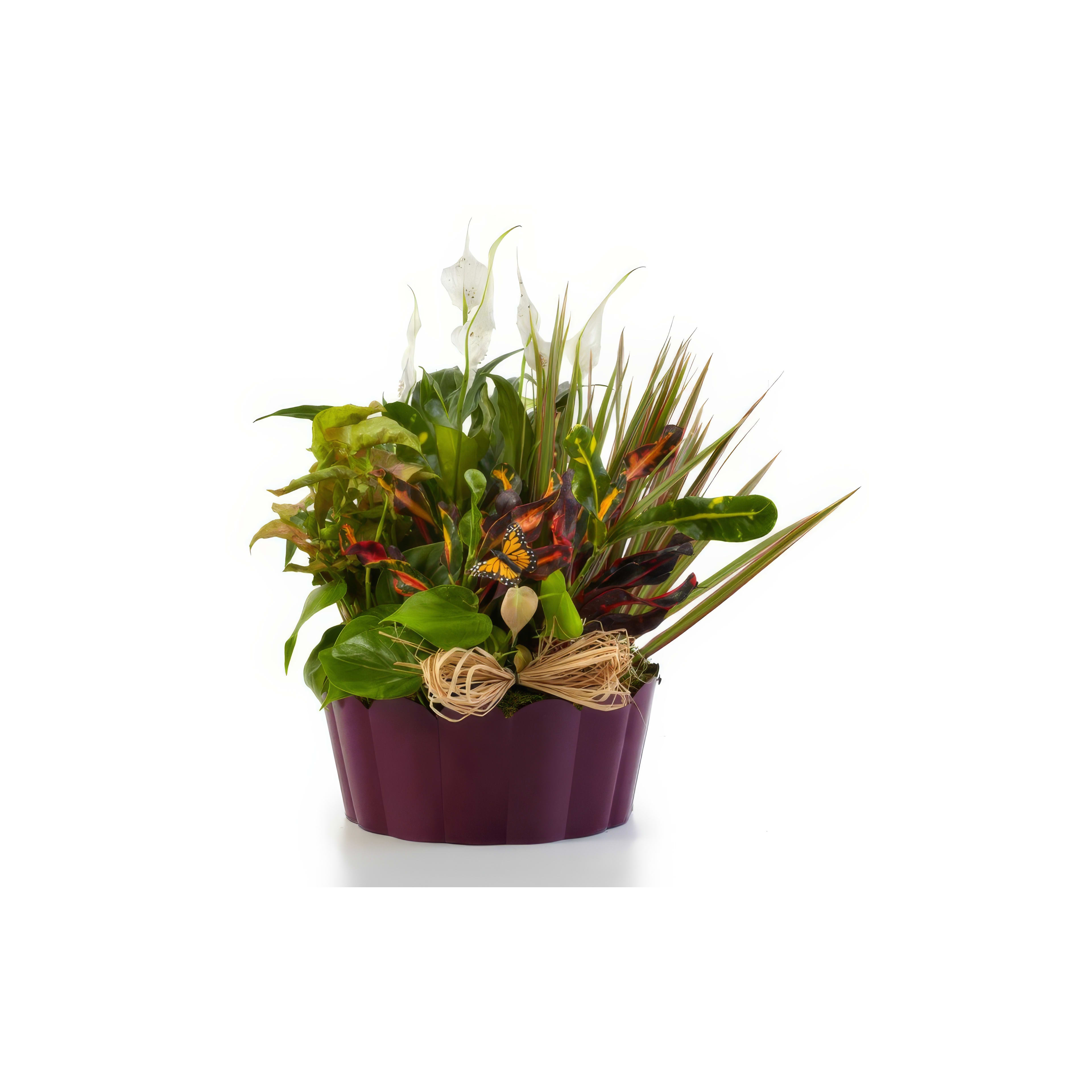 Bright greenery fills a purple pot with diverse plants, adding life to any indoor space.