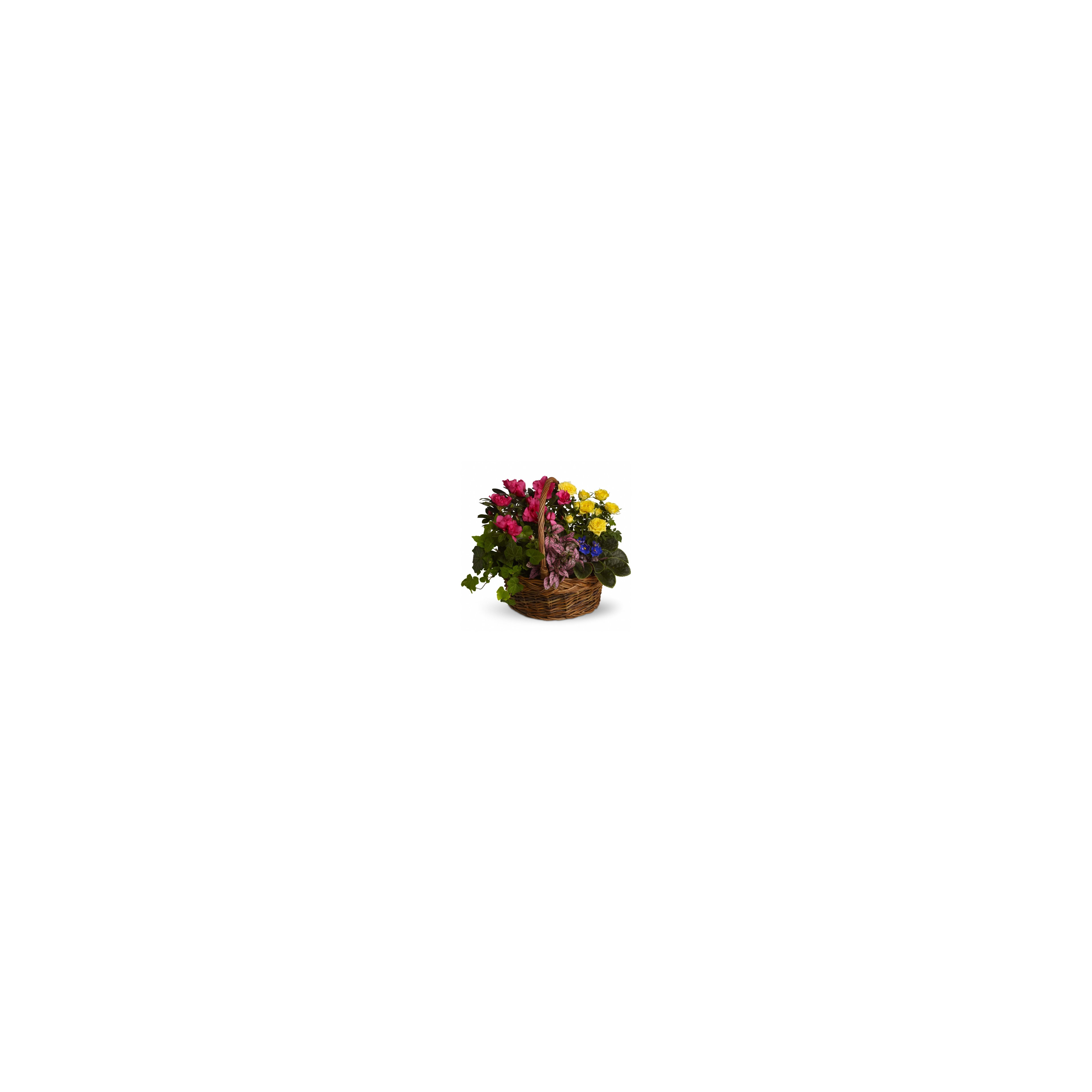 A colorful basket of pink, yellow, and blue flowers highlights nature's beauty.