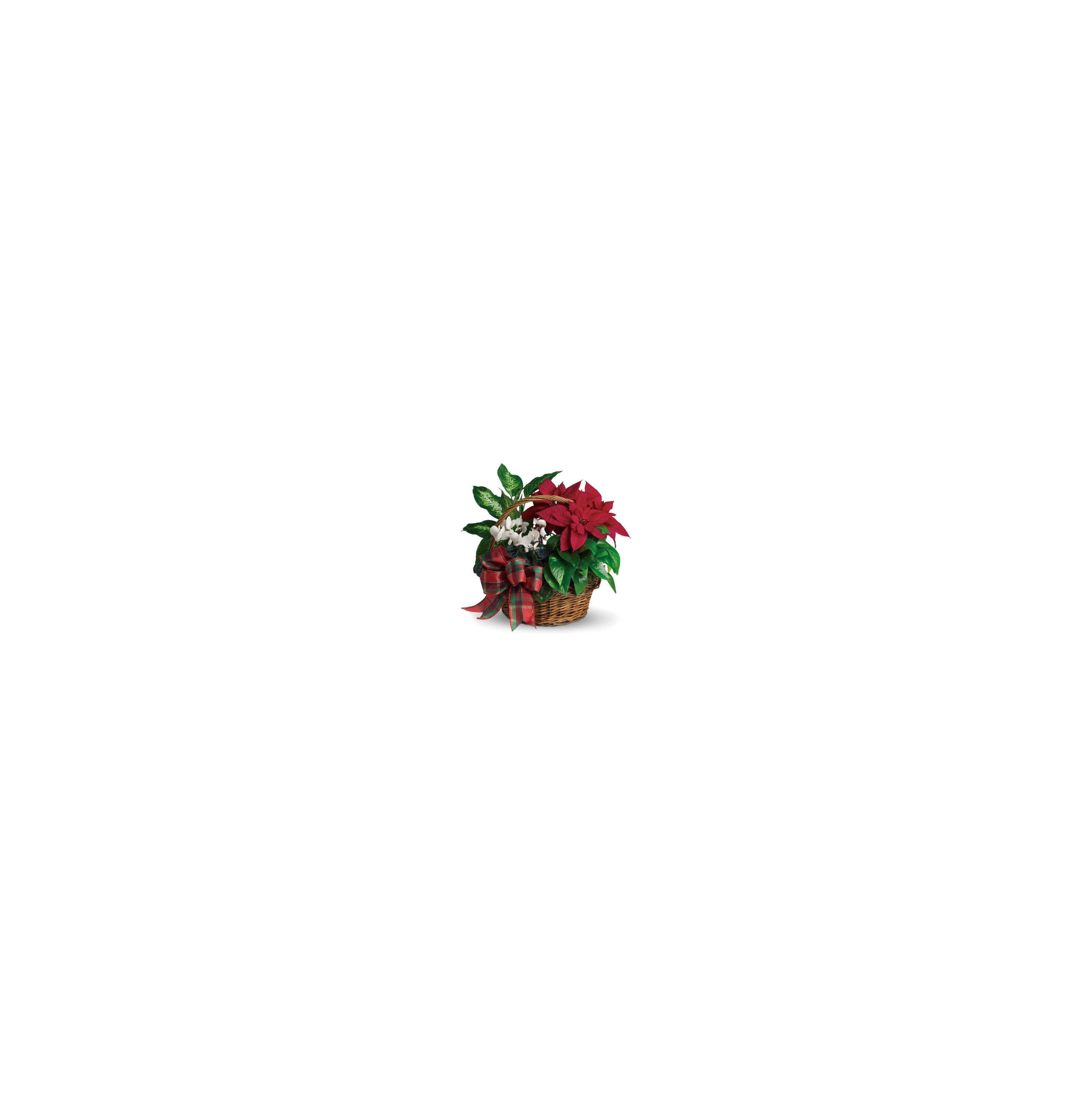 The basket features vibrant red and white flowers, topped with a plaid ribbon, ideal for holidays.