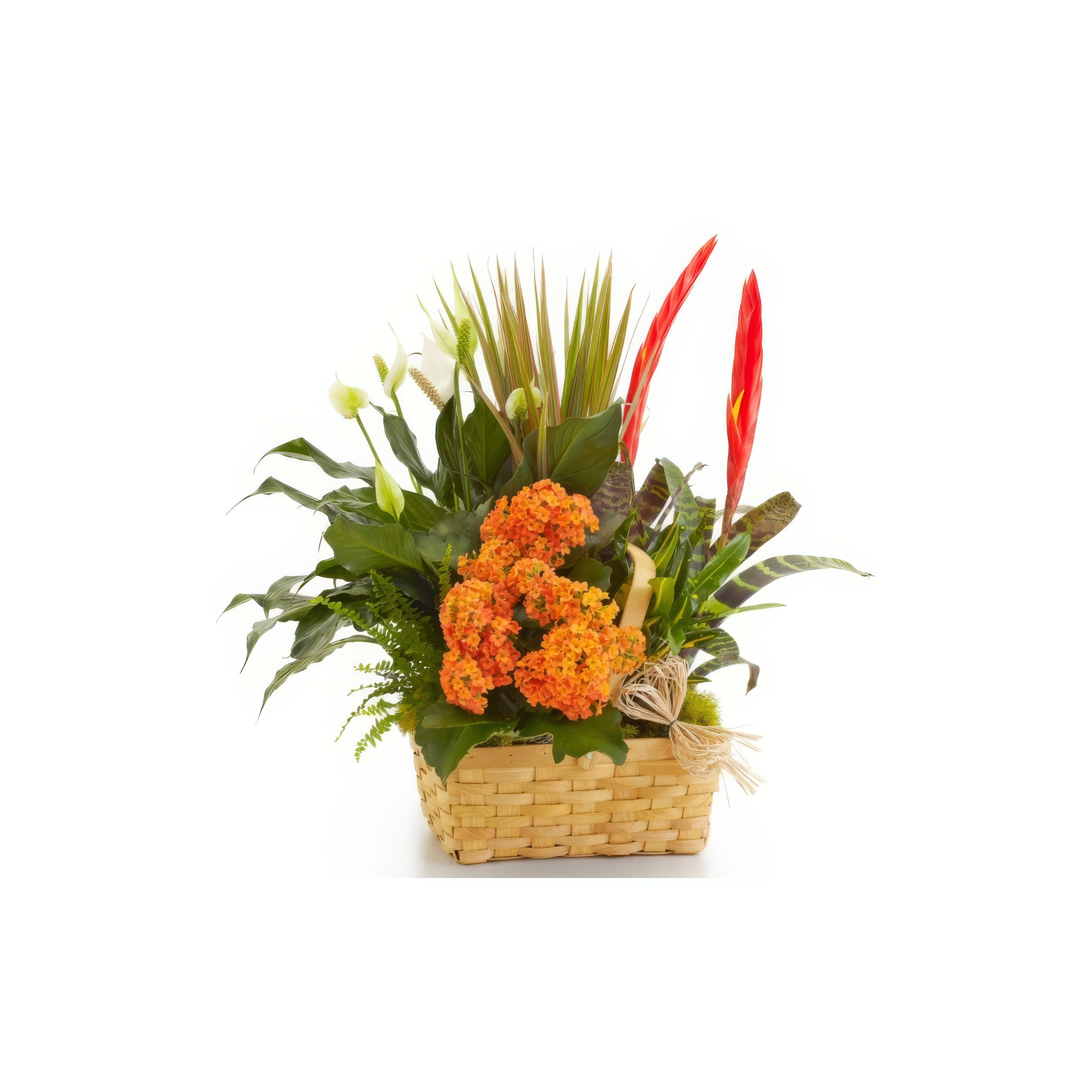 A beautifully crafted basket holds an array of bright flowers, adding charm to the setting.