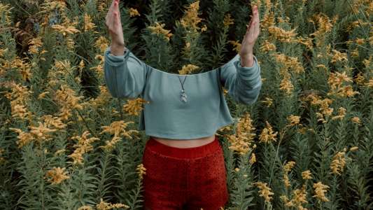 diagrammatic reasoning mirror images